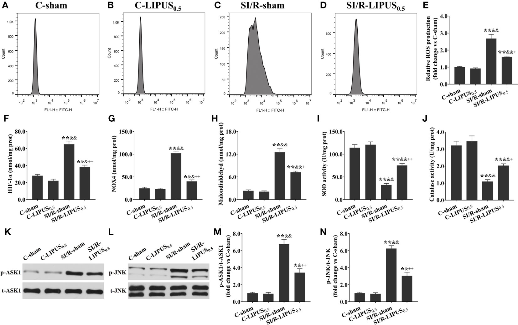 Frontiers | Low-intensity pulsed ultrasound of different intensities ...