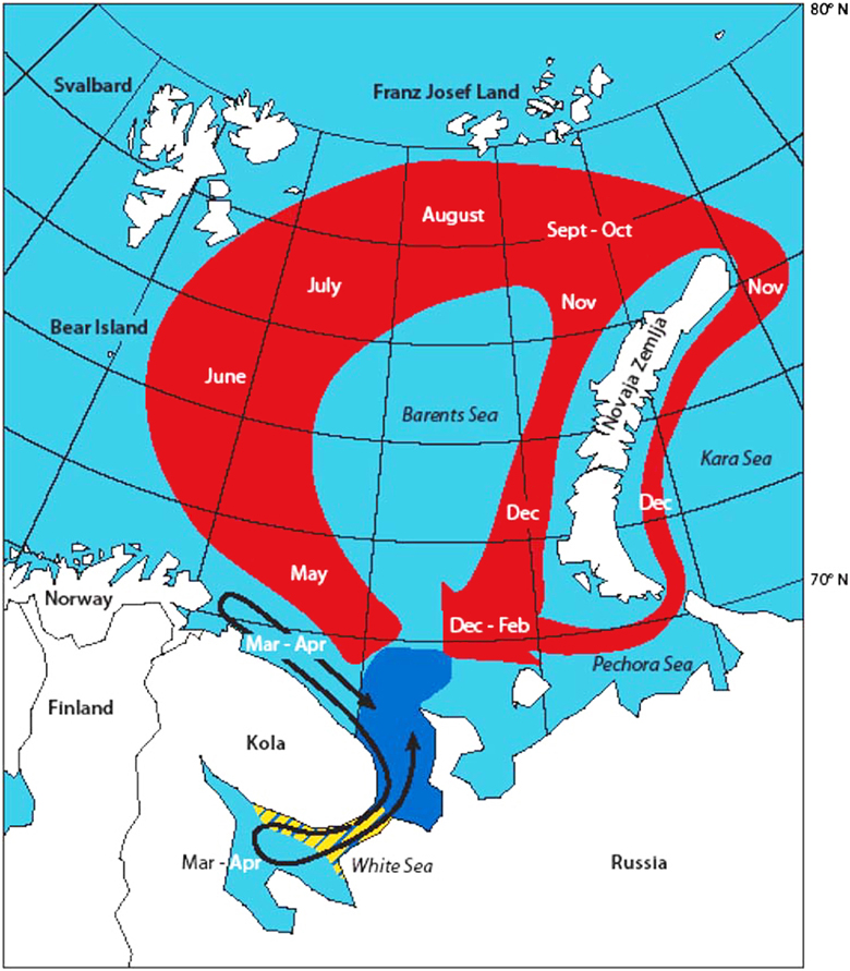 www.frontiersin.org