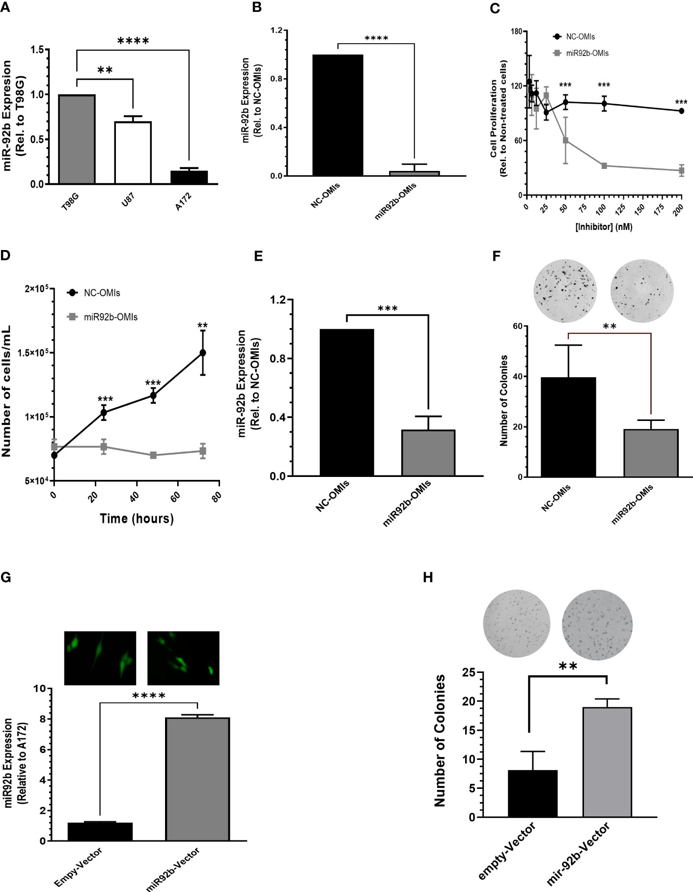 Frontiers | MicroRNA-92b targets tumor suppressor gene FBXW7 in ...