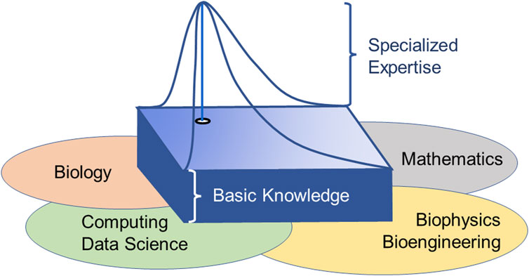 Reader Forum: The data optimization paradox