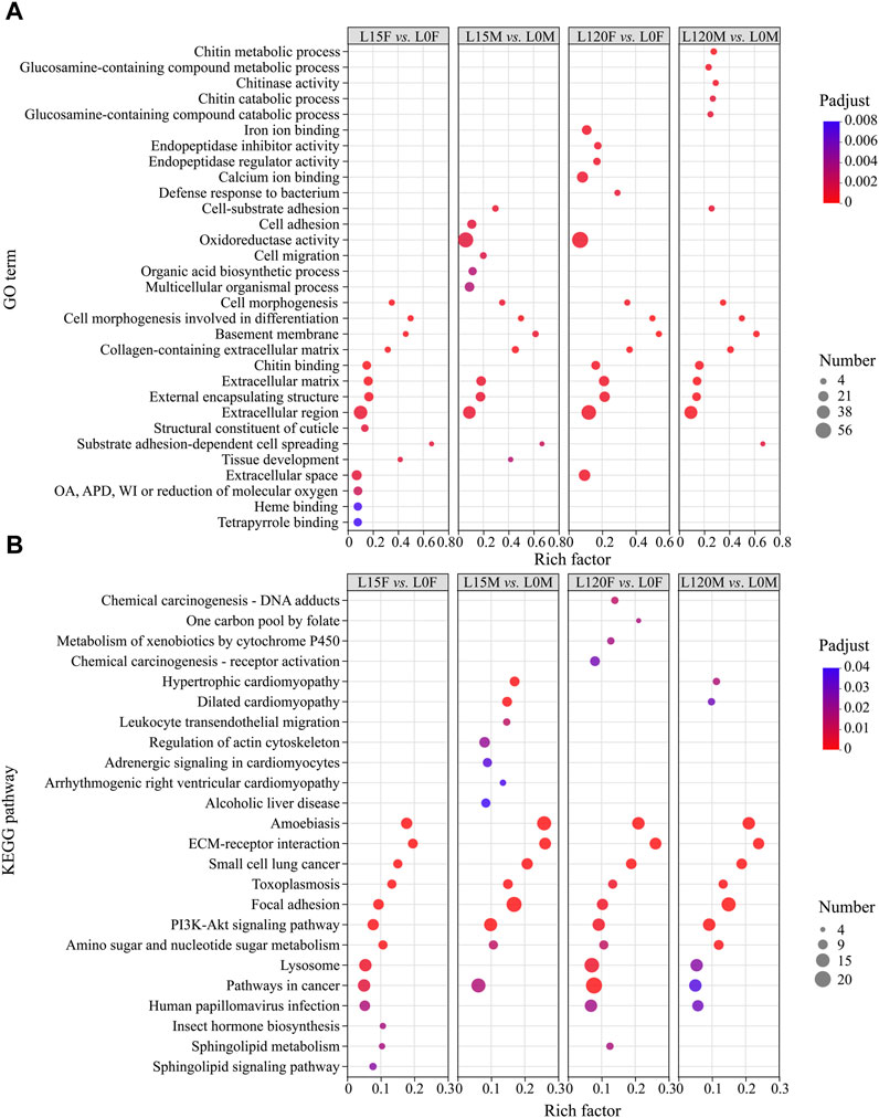 Frontiers Classification of breed combinations for slaughter pigs based on genotypes—modeling DNA samples of crossbreeds as fuzzy sets from purebred founders