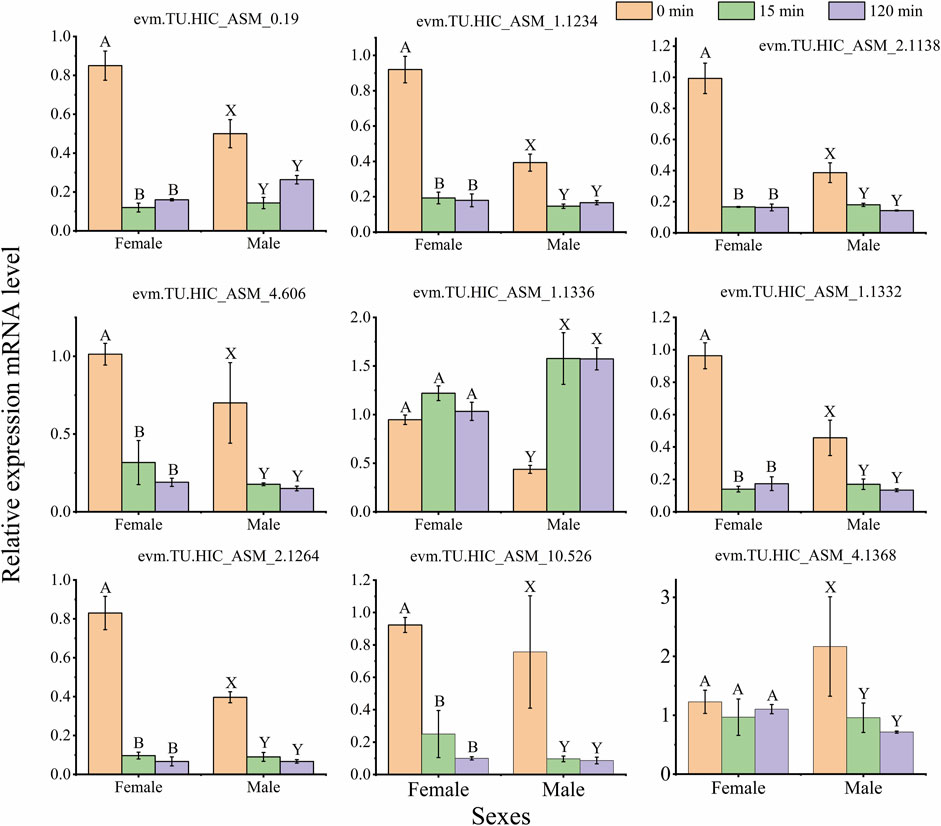 Frontiers  Classification of breed combinations for slaughter pigs based  on genotypes—modeling DNA samples of crossbreeds as fuzzy sets from  purebred founders