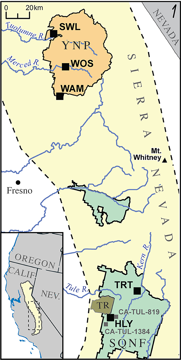 www.frontiersin.org