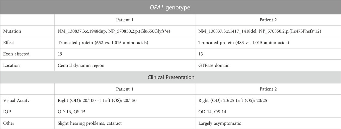 CRISPR-Cas9 correction of OPA1 c.1334G>A: p.R445H restores mitochondrial  homeostasis in dominant optic atrophy patient-derived iPSCs: Molecular  Therapy - Nucleic Acids