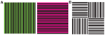 www.frontiersin.org