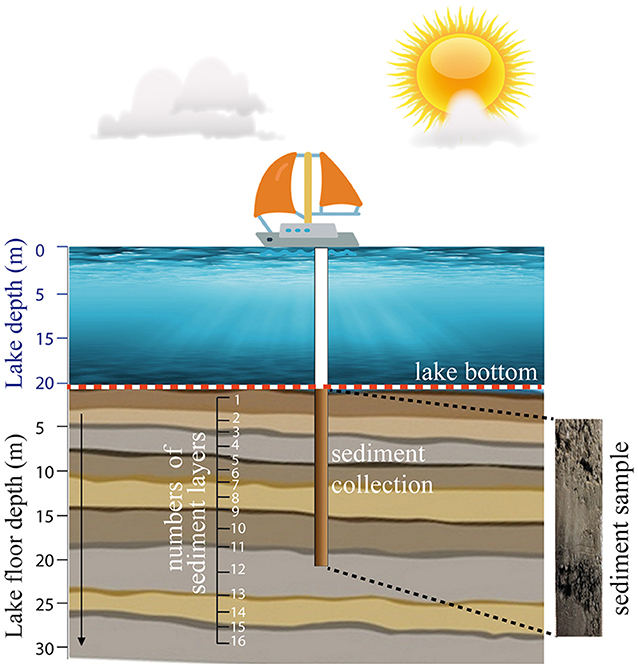 Figure 1 - Sediment extraction from a lake using a device called a hand corer.