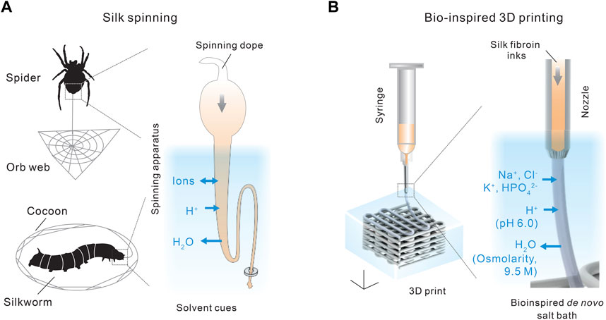 Multifunctional Biosensors Made with Self-Healable Silk Fibroin