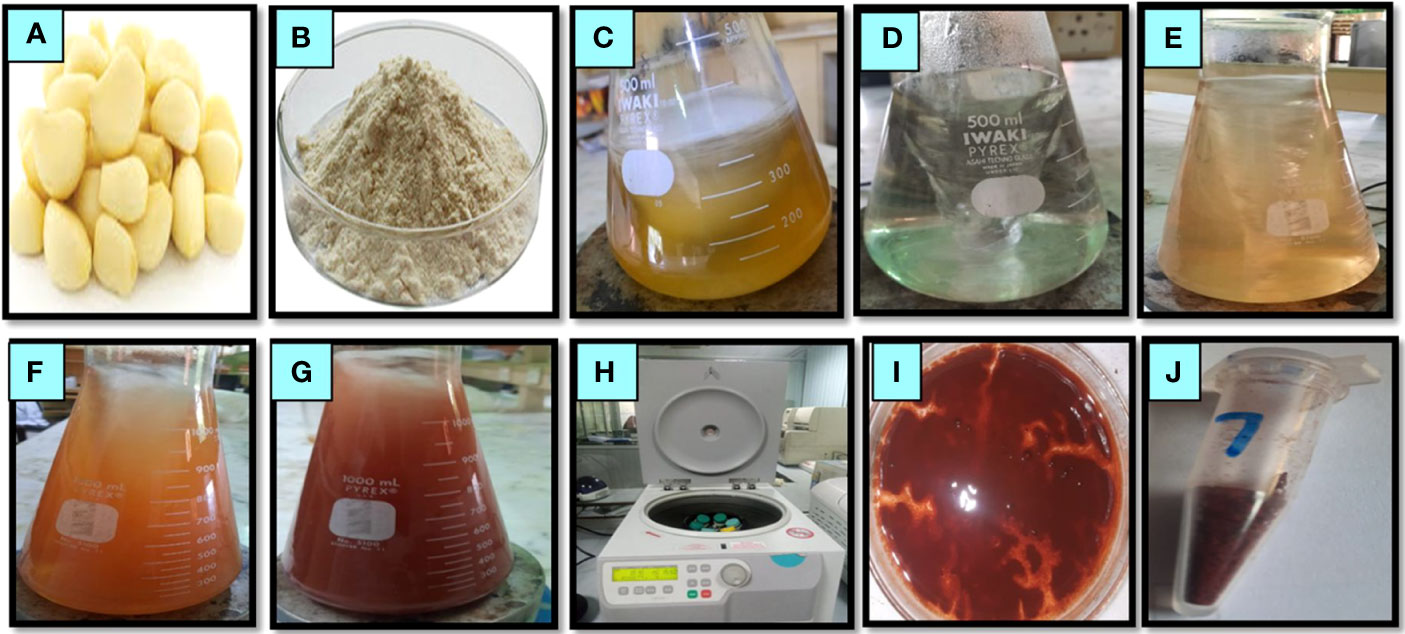 Full article: Biomedical Potential of Plant-Based Selenium Nanoparticles: A  Comprehensive Review on Therapeutic and Mechanistic Aspects