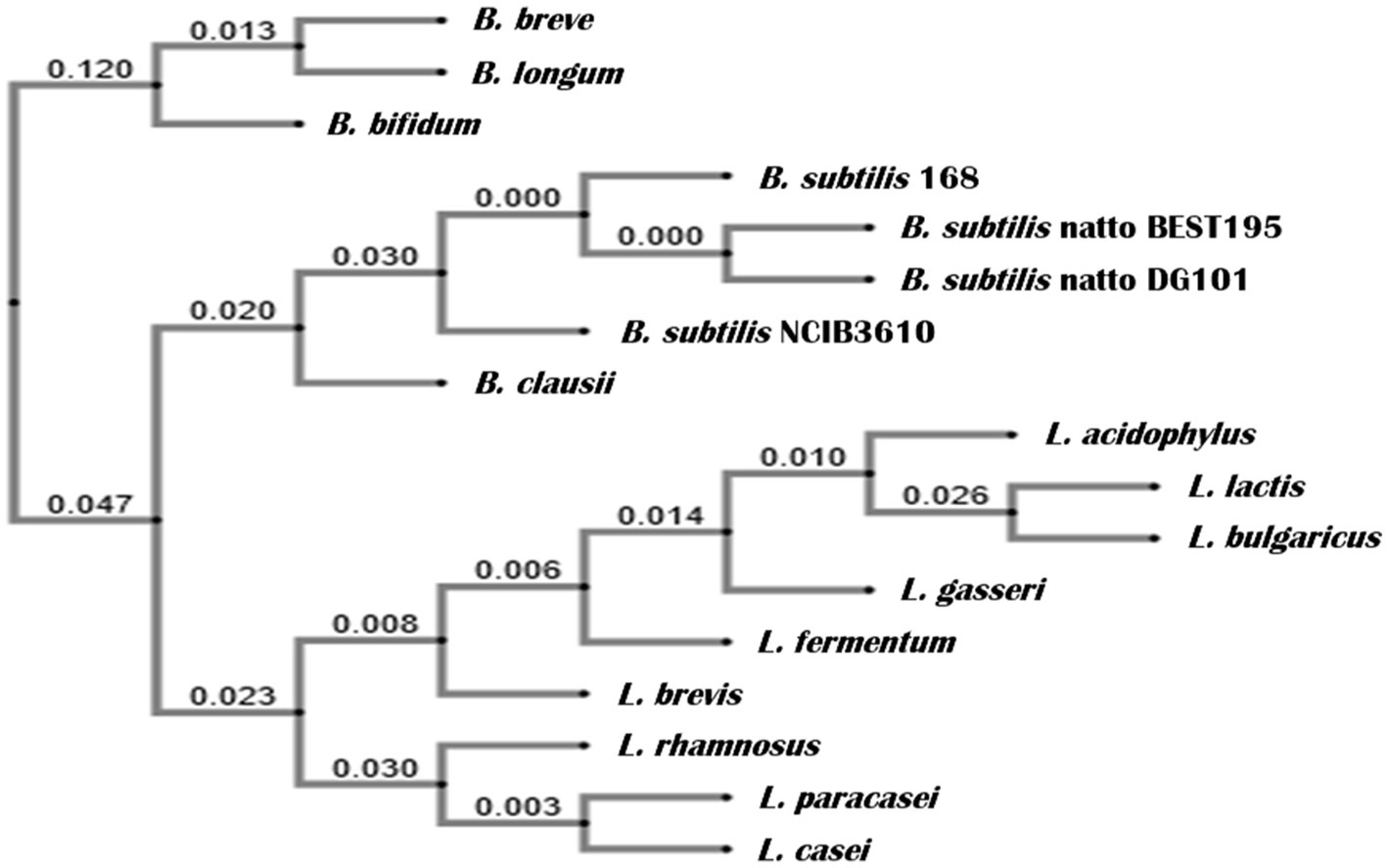 Frontiers  Probiotic properties of Bacillus subtilis DG101 isolated from  the traditional Japanese fermented food nattō