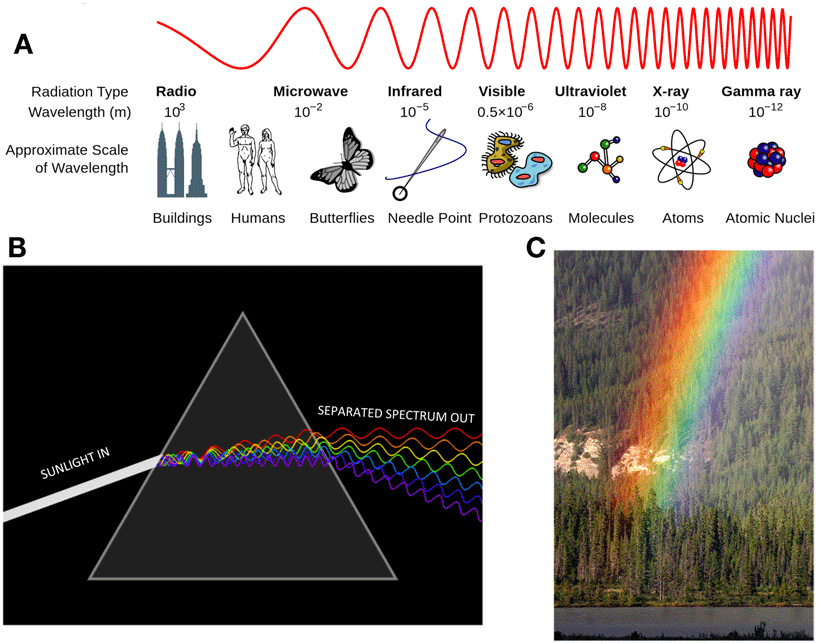 How Do Color? · Frontiers for Young Minds