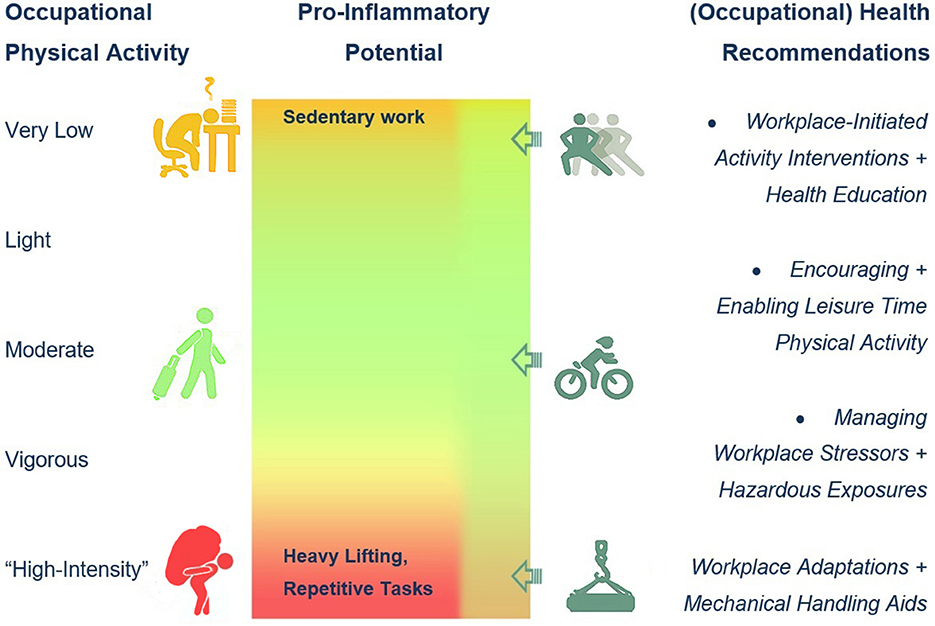 Physical Activity