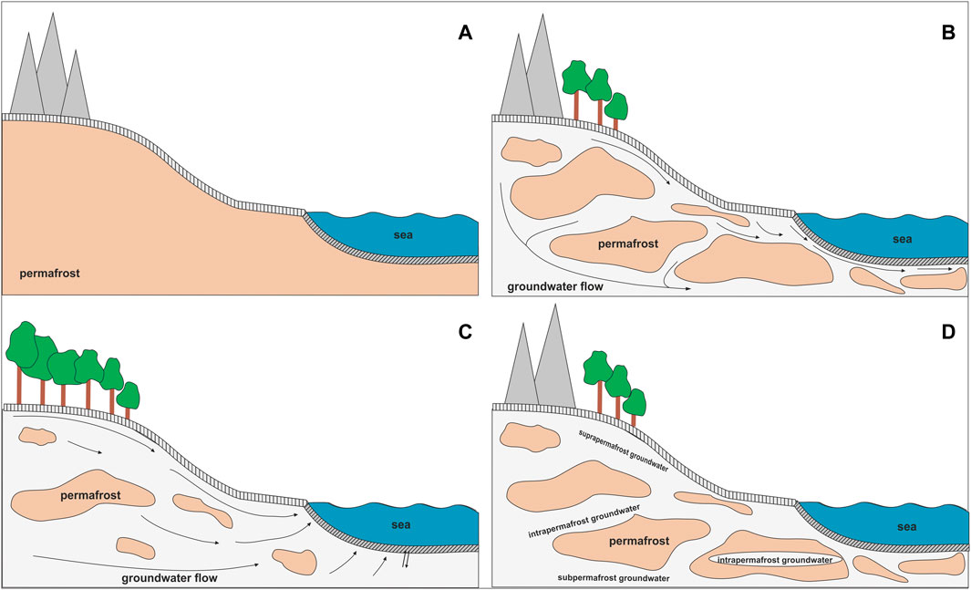 Drying of tundra landscapes will limit subsidence-induced acceleration of  permafrost thaw