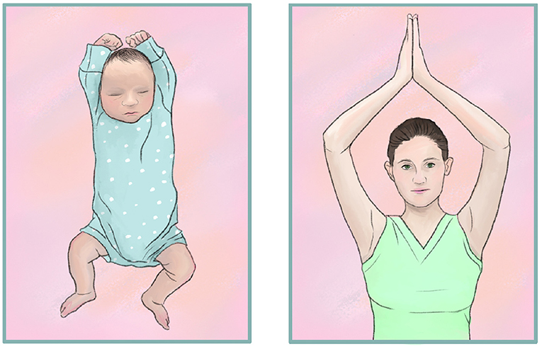 Figure 1 - With age, the body parts change at different rates.