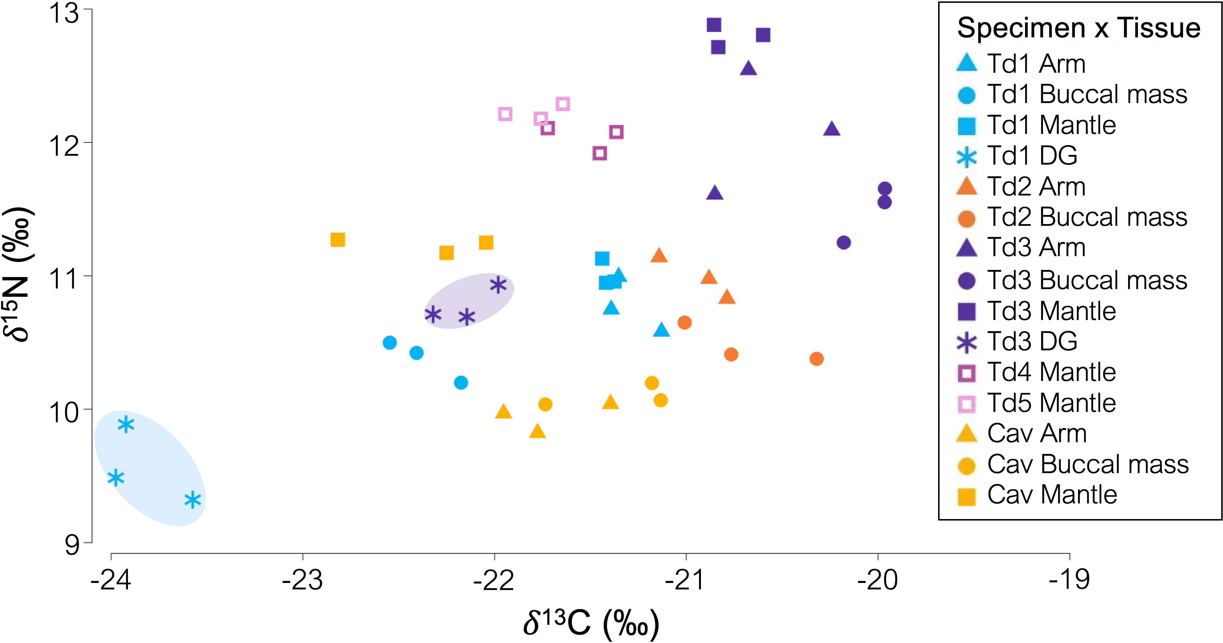 Frontiers | Towards unlocking the trophic roles of rarely