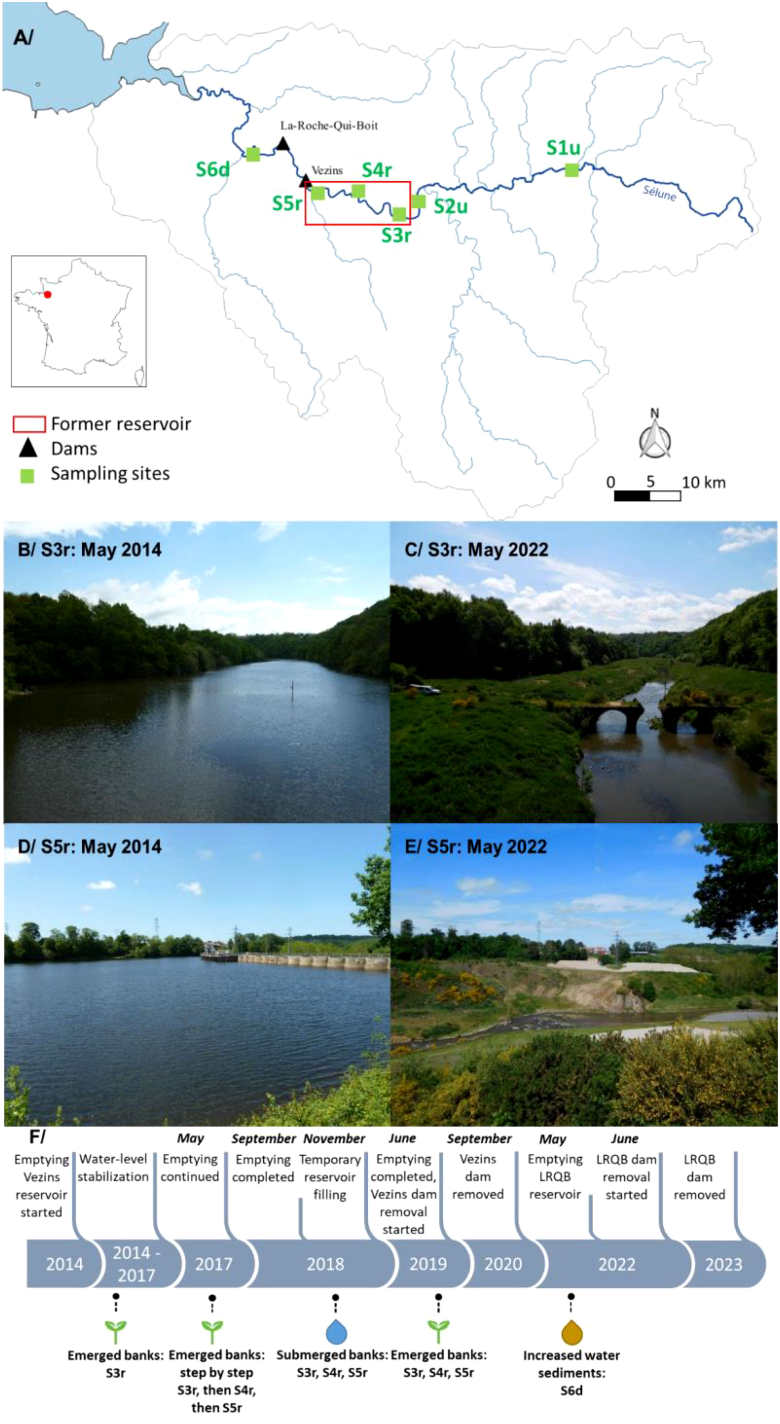 Frontiers | Fast but transient recovery of aquatic and terrestrial