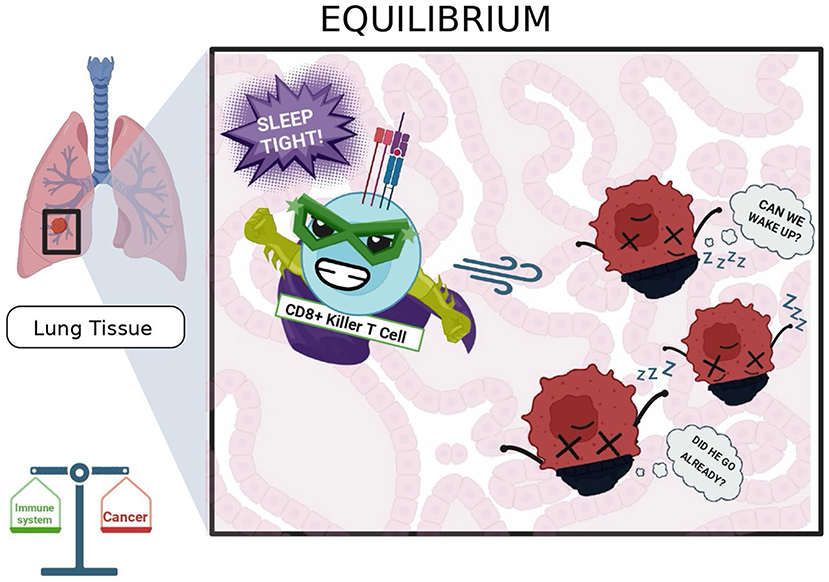 Illustration showing a CD8+ Killer T Cell putting cancer cells to sleep in lung tissue. The T cell wears a mask and has weapons, with a speech bubble saying “Sleep tight!” Cancer cells appear inactive, with speech bubbles asking if they can wake up. A scale symbolizes the balance between the immune system and cancer.