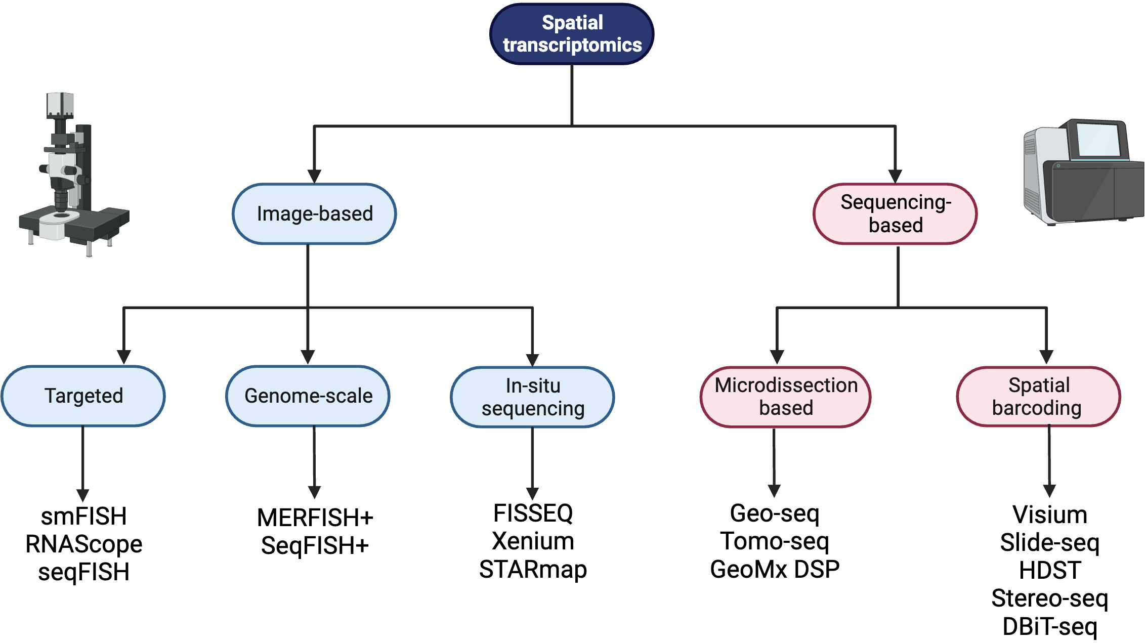 TomoSeq data search