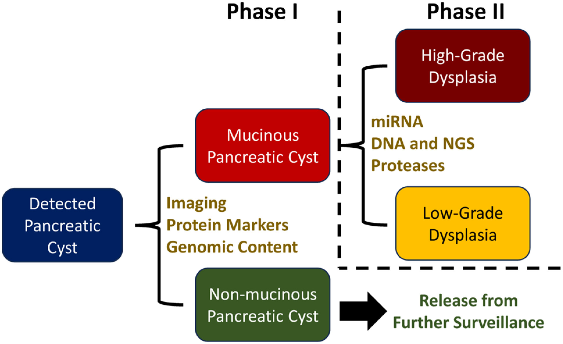 Clinical work on cancer - Rife Plasma