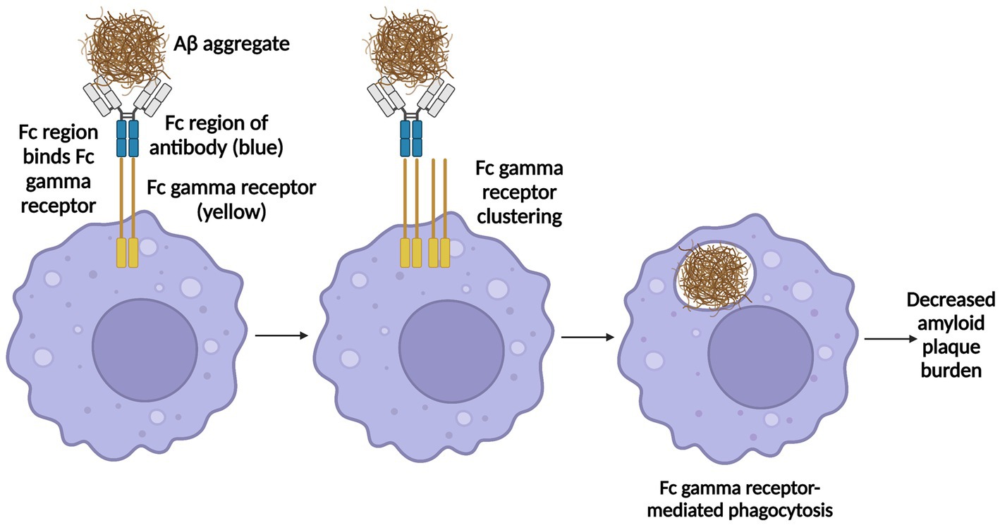 Fierce Pharma Feature: Small molecule biomarkers in precision medicine