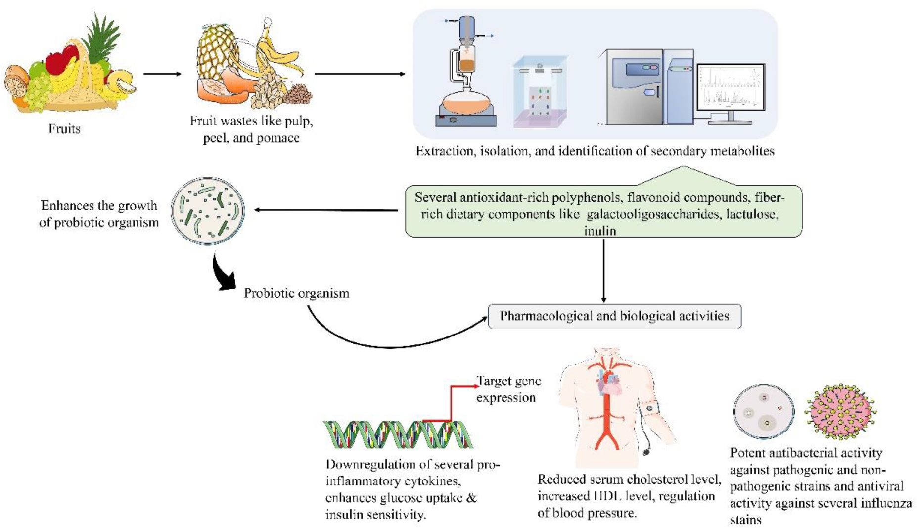 Effects of Fermentation Process on the Antioxidant Capacity of Fruit  Byproducts