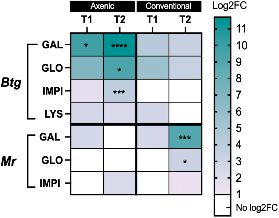 Frontiers  The Axenic and Gnotobiotic Mosquito: Emerging Models for  Microbiome Host Interactions