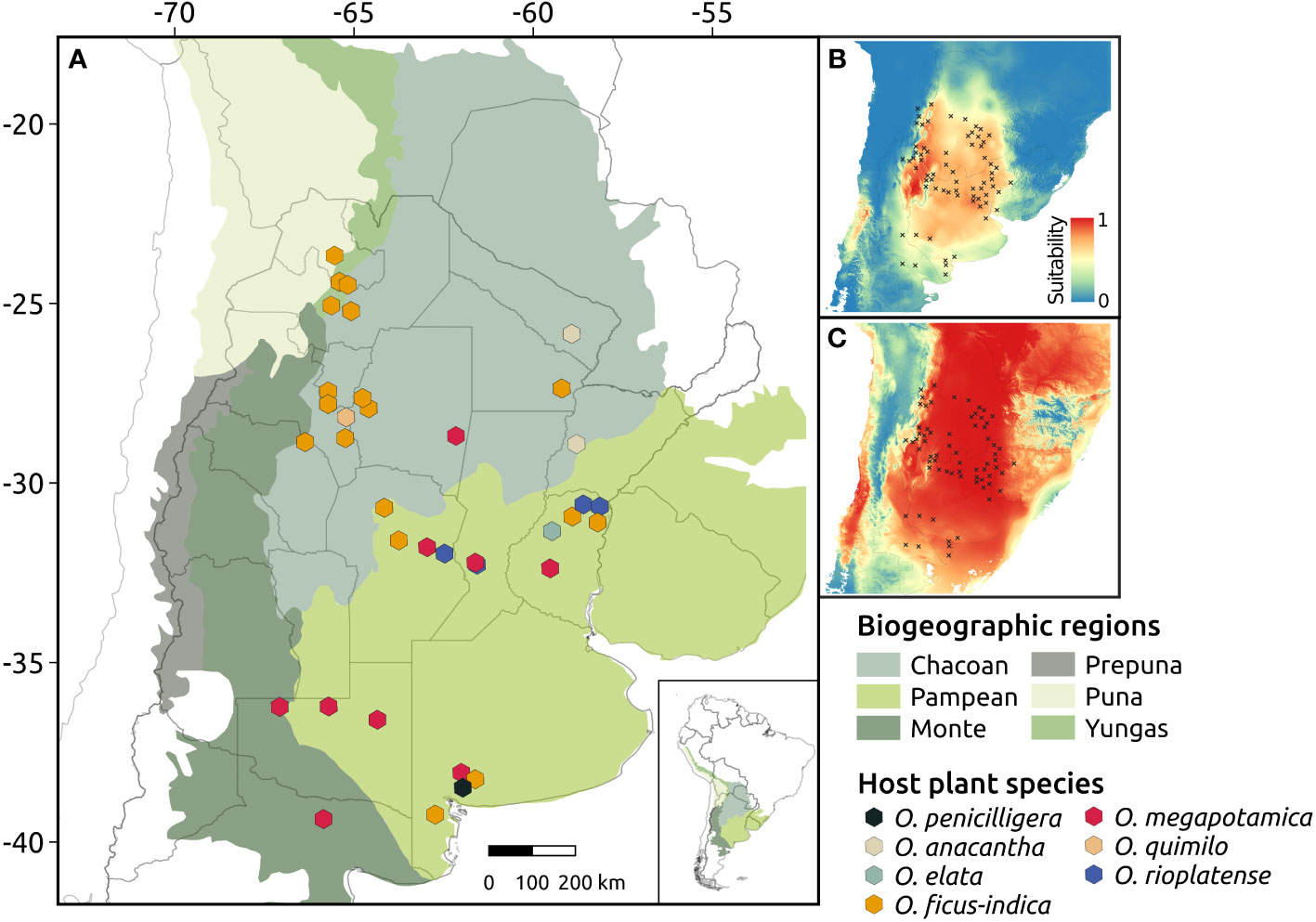 Dissimilarity components among Brazilian marine sub-provinces. Three