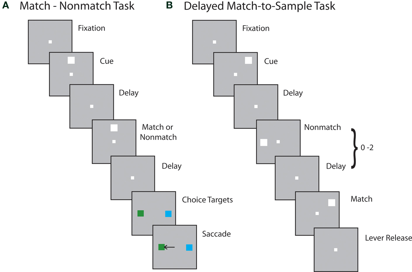 Non matching. Delayed. Successive. Sample task 4.