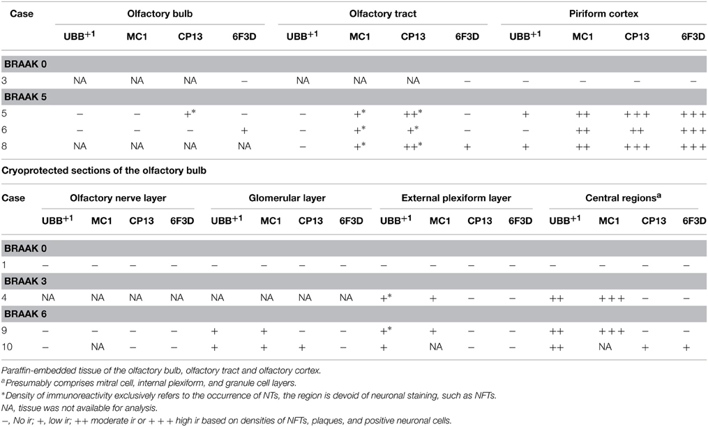 Frontiers - Localization of mutant ubiquitin in the brain of a transgenic mouse line with ...