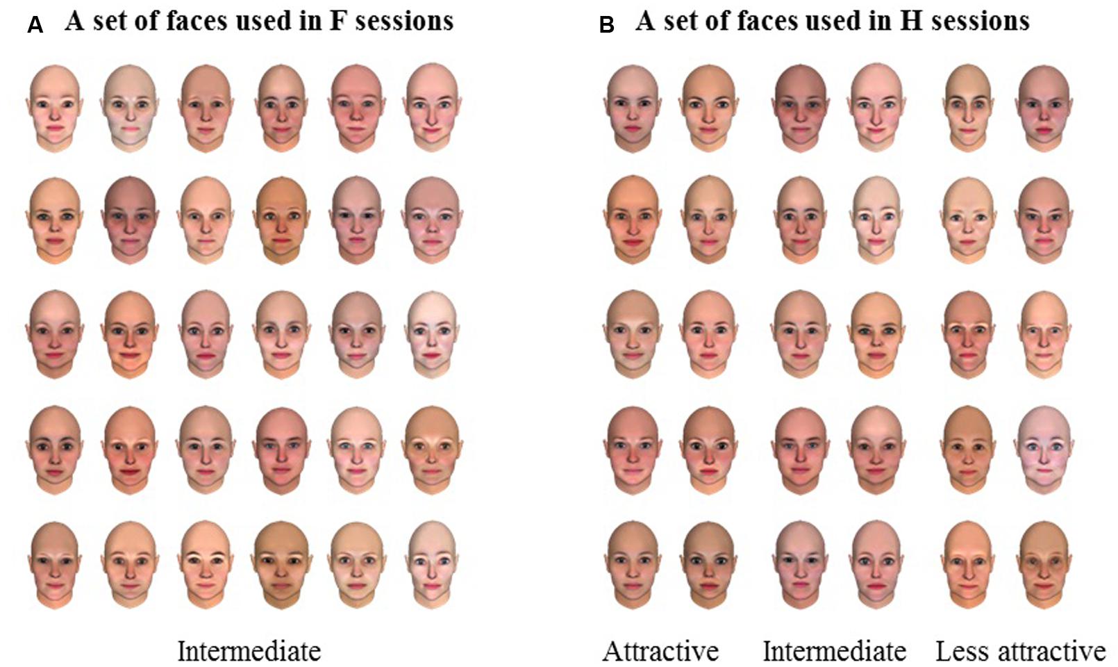 Frontiers Visual Attractiveness Is Leaky The Asymmetrical Relationship Between Face And Hair Psychology