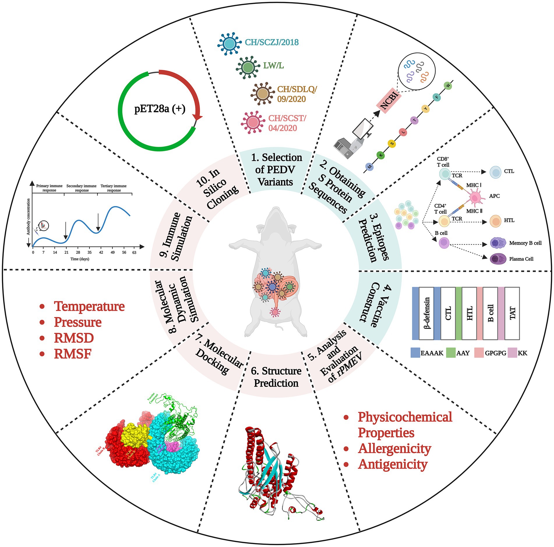 α-Rank: Multi-Agent Evaluation by Evolution