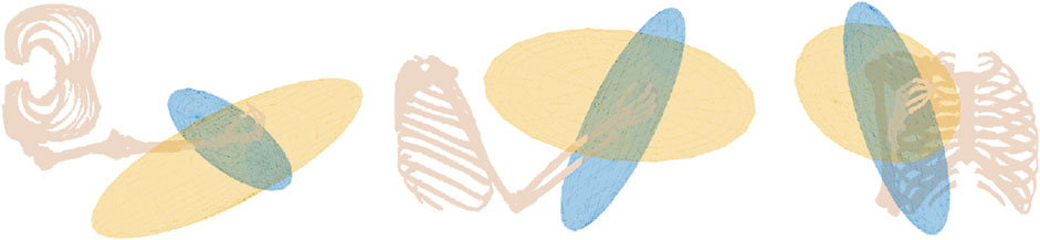www.frontiersin.org