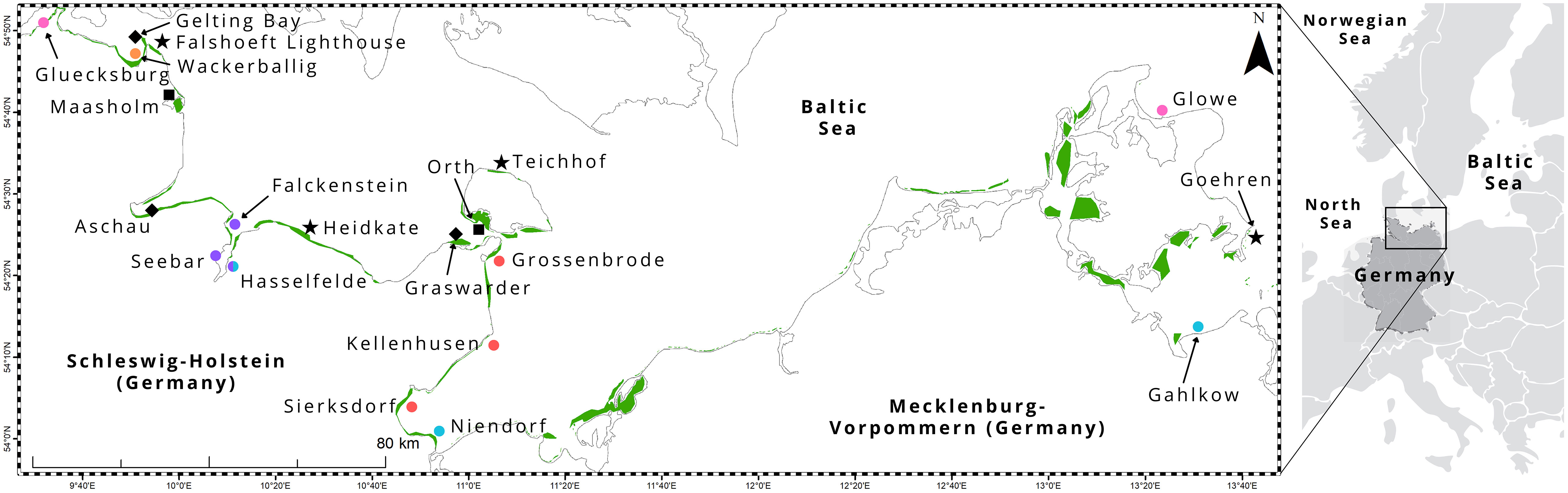 www.frontiersin.org
