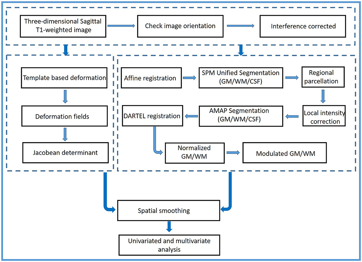 Frontiers | Voxel- and tensor-based morphometry with machine Frontiers | Voxel- and tensor-based morphometry with machine