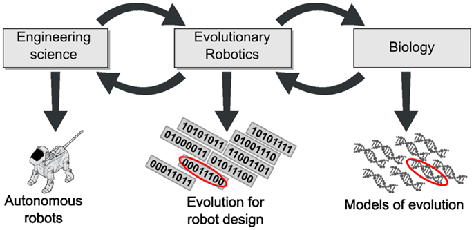 Frontiers Evolutionary Robotics What Why And Where To - 