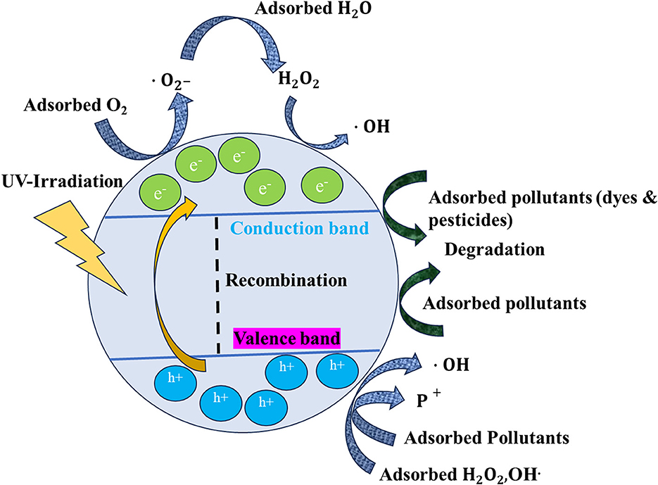 Titanium dioxide inorganic and organic coating modification