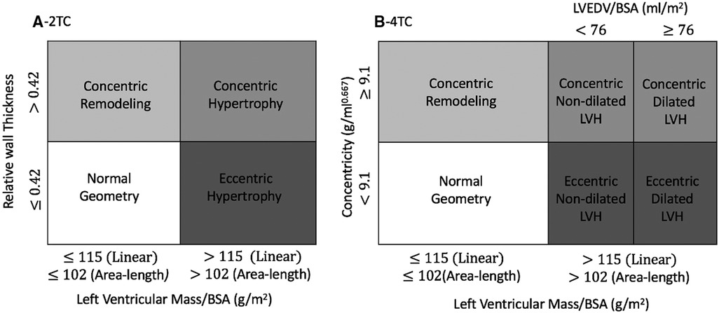 Frontiers  Evaluation of left ventricular myocardial stratified