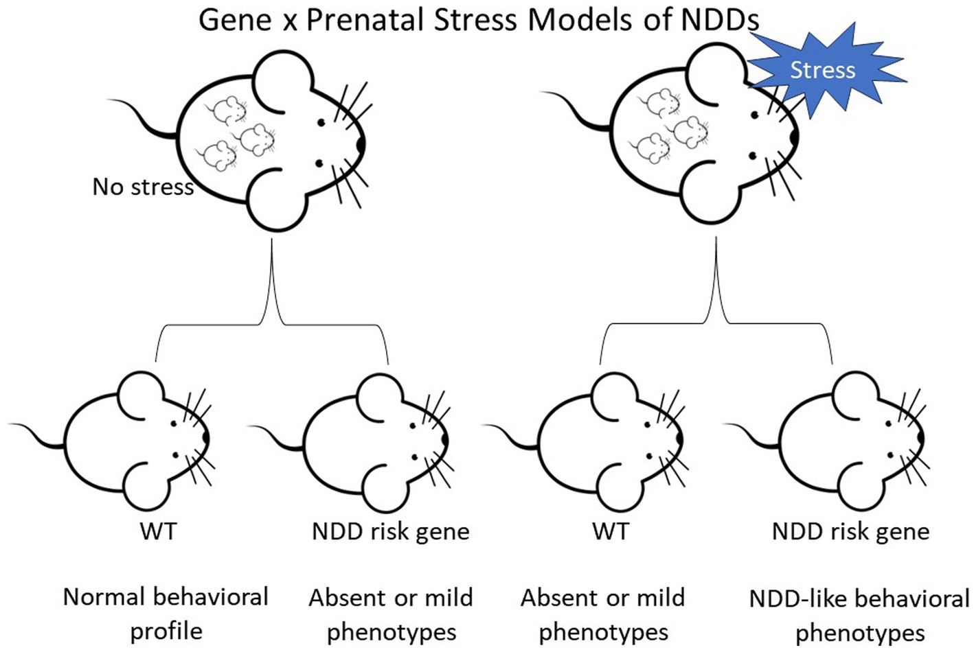 Frontiers  Behavioral and neuropsychiatric challenges across the