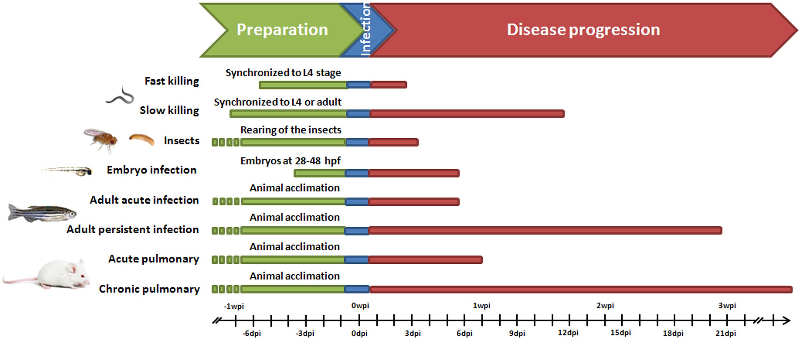 read therapeutic peptides