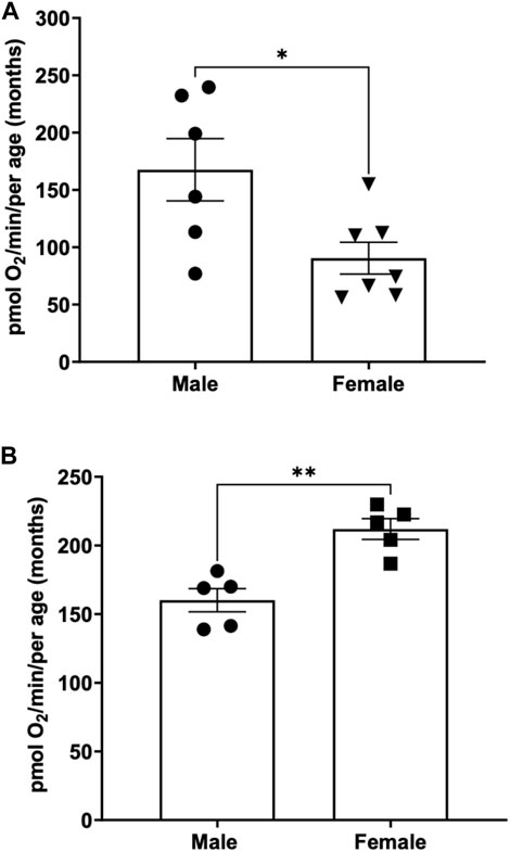 ET capacity - Bioblast