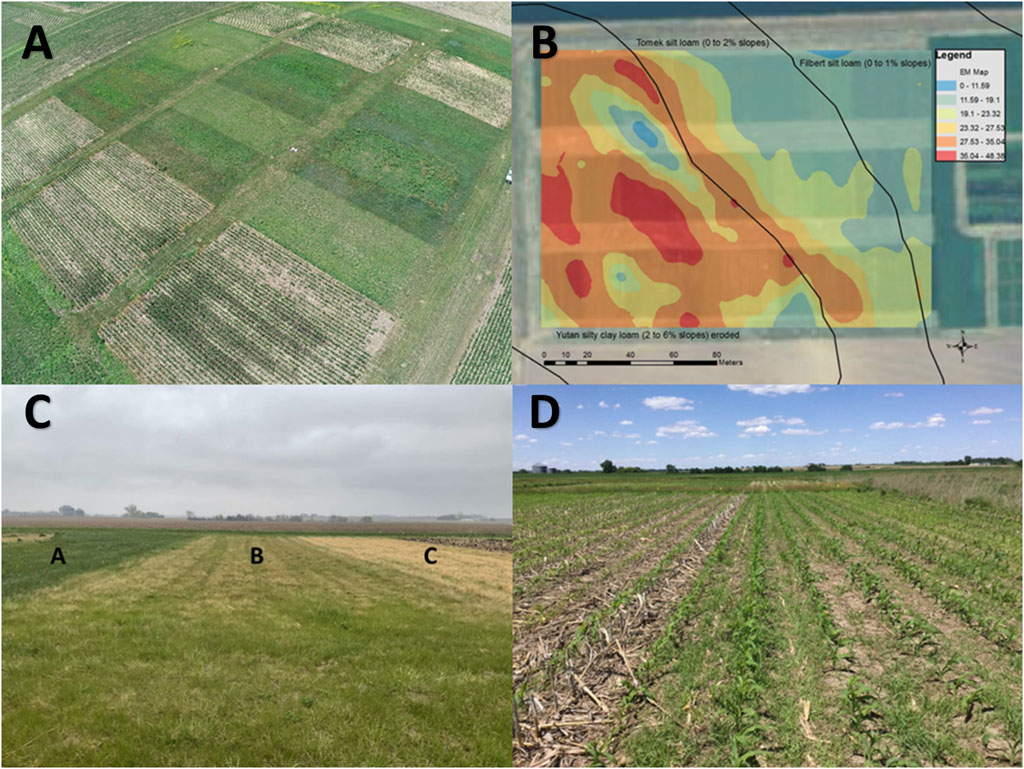 30 Years of Experiments Predict Future for Major Crops- Crop Biotech Update  (November 11, 2020)