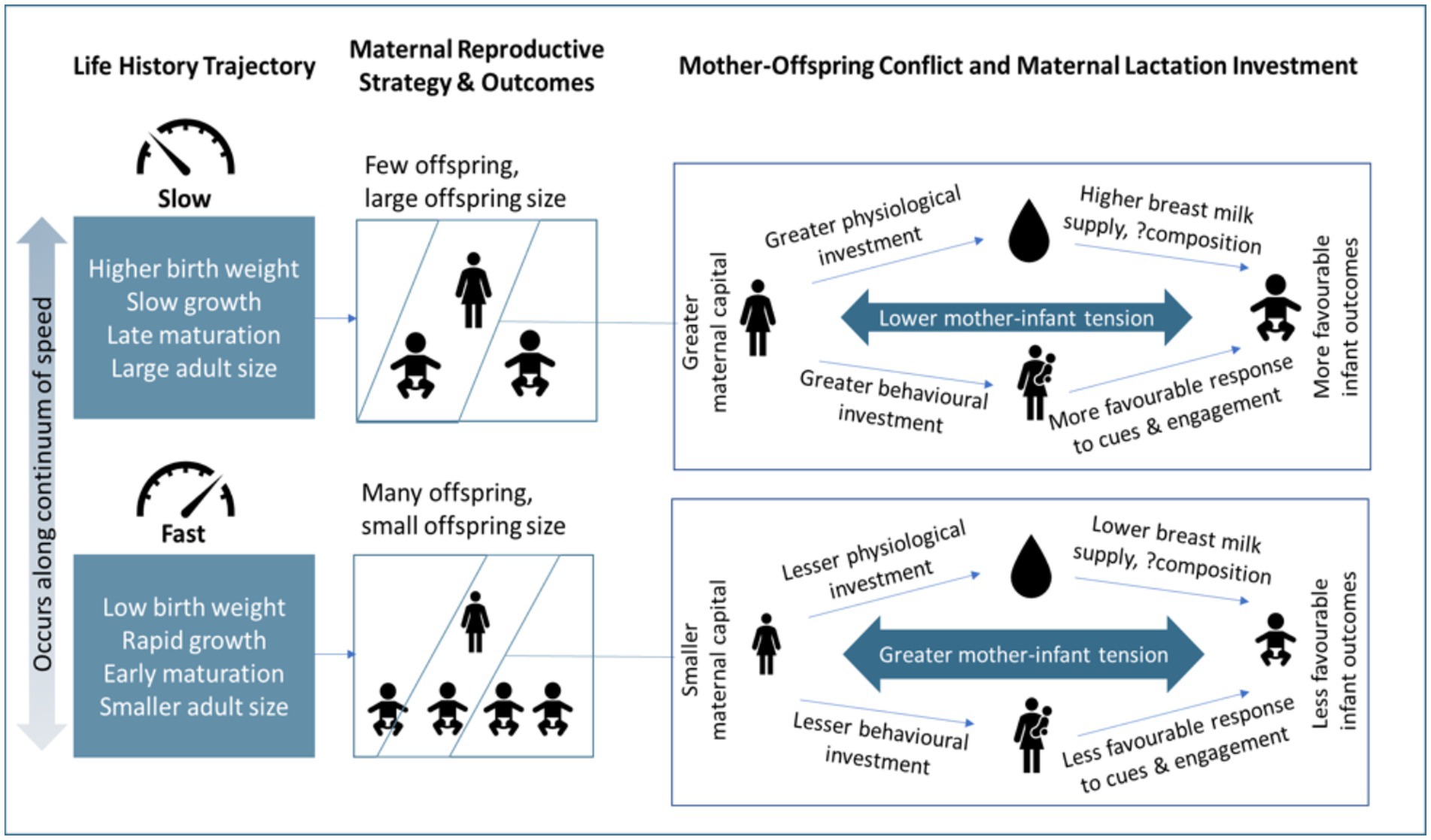 ROAMS Rural Ob Access & Maternal Services