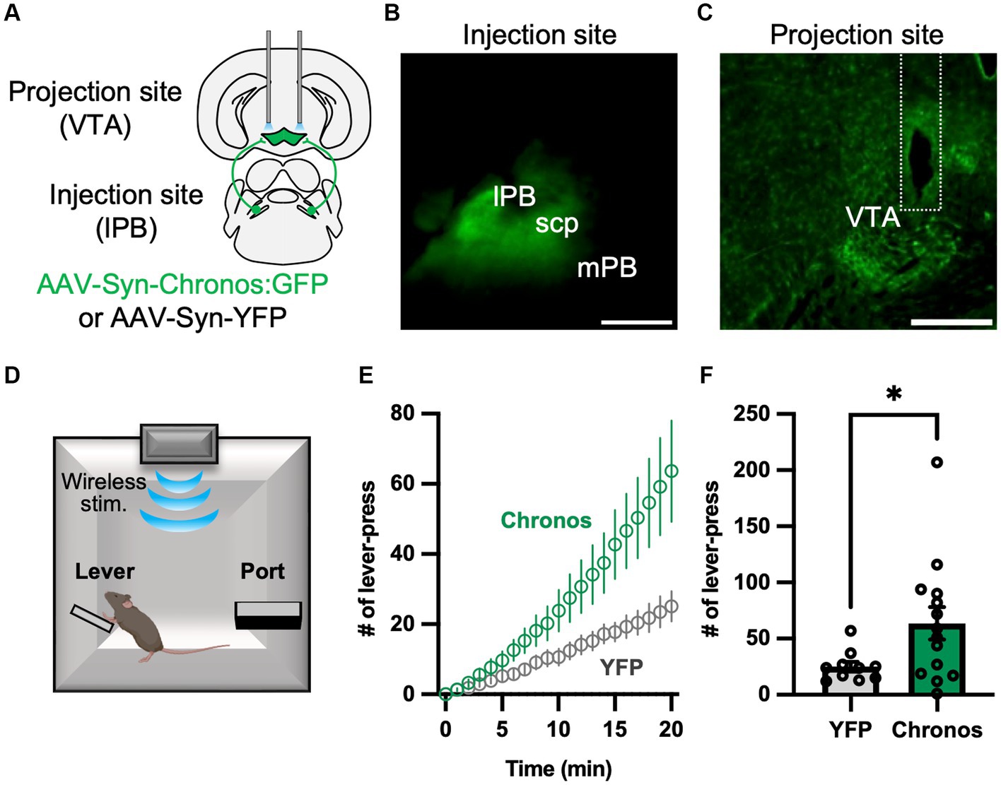 A parabrachial to hypothalamic pathway mediates defensive behavior