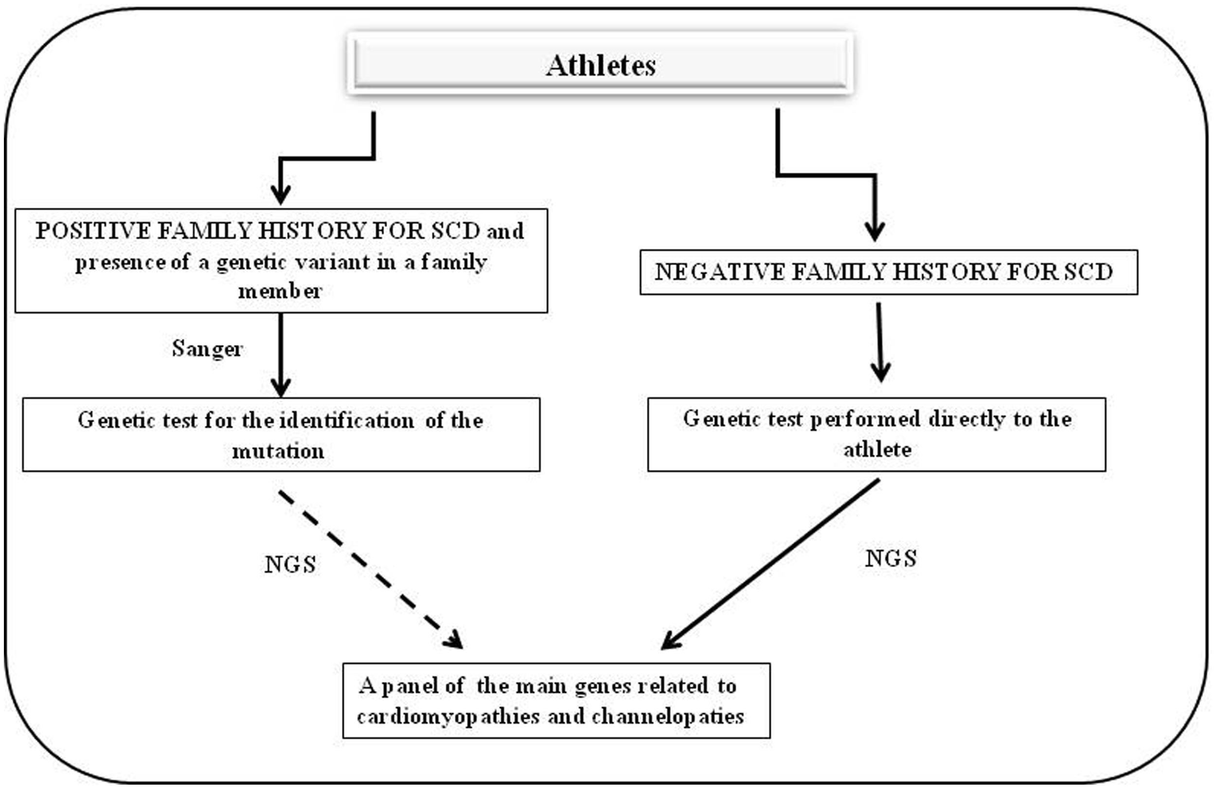 Sanger Method Of Dna Sequencing Flow Chart