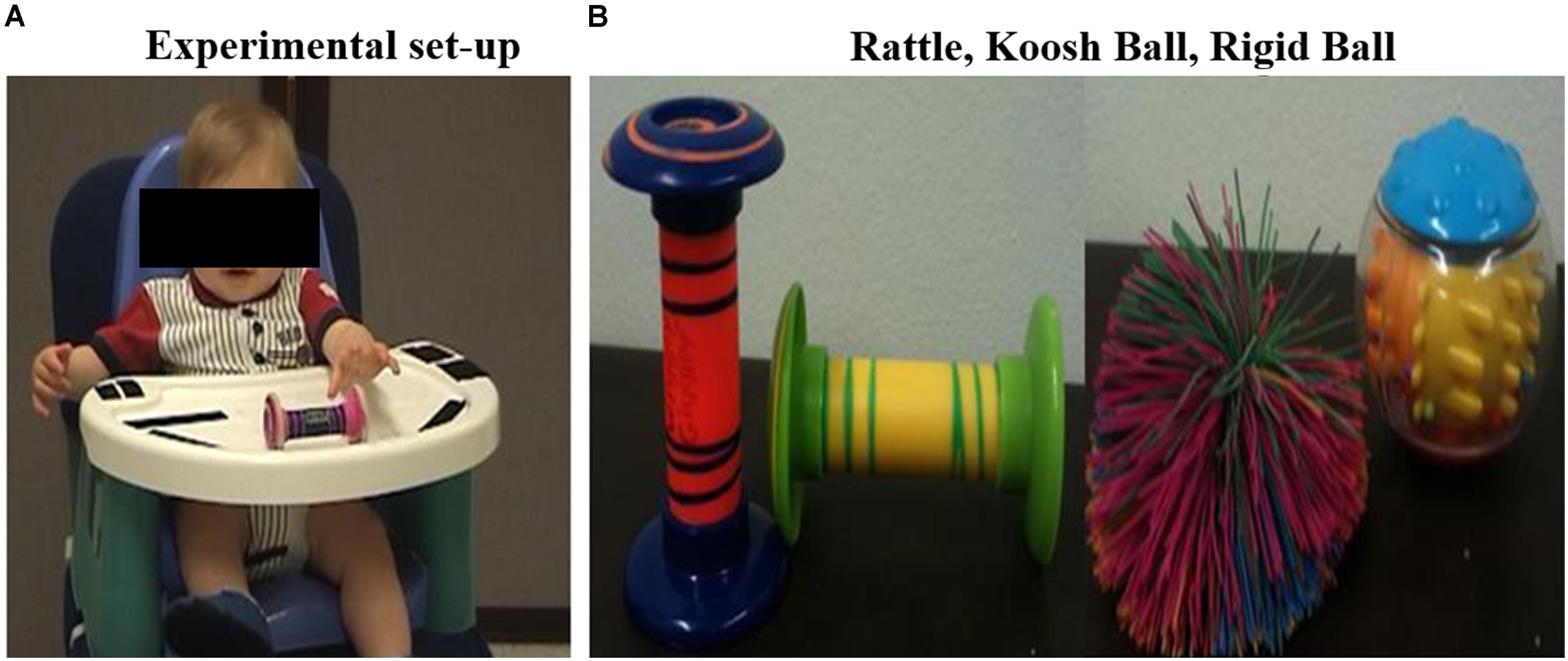 Frontiers Atypical object exploration in infants atrisk for autism during the first year of life