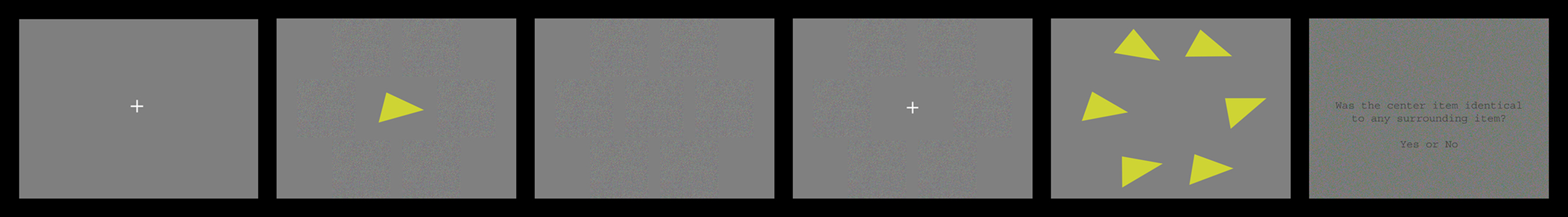 www.frontiersin.org