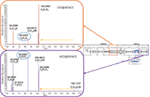 www.frontiersin.org