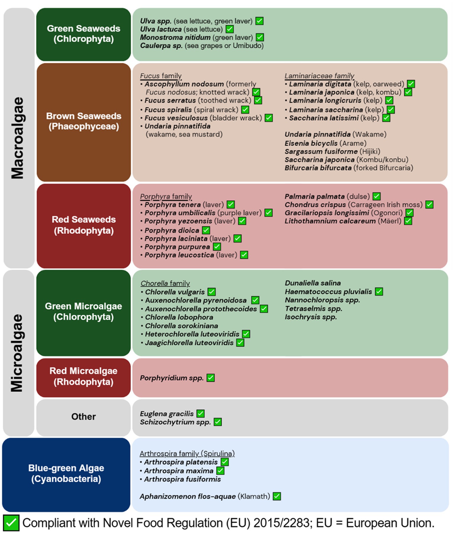 Algae Research Supply: Algae Culture Kit for Isochrysis galbana