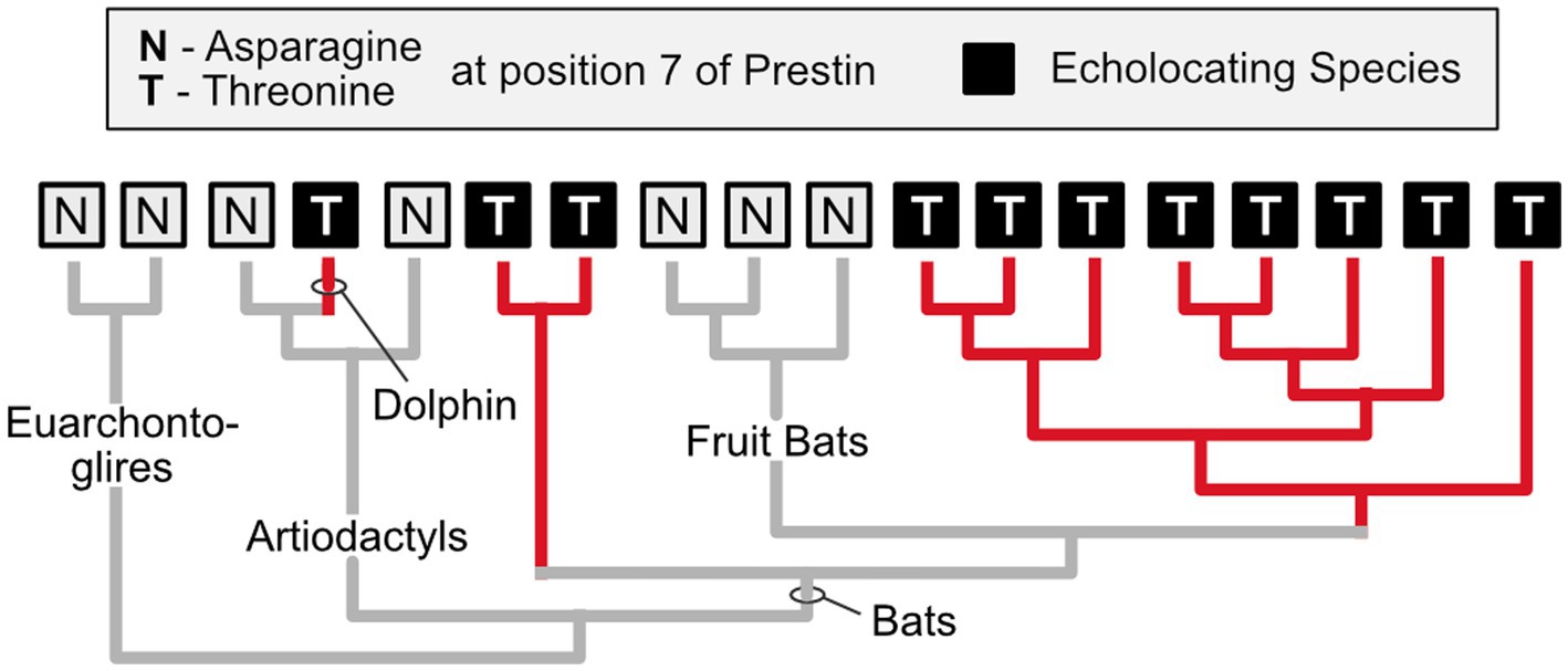 www.frontiersin.org