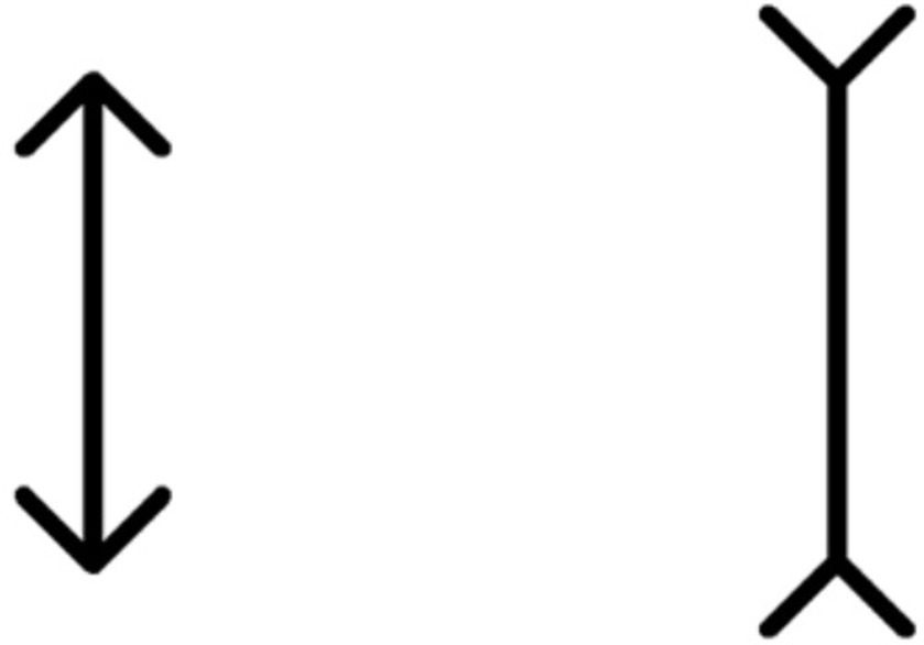 www.frontiersin.org