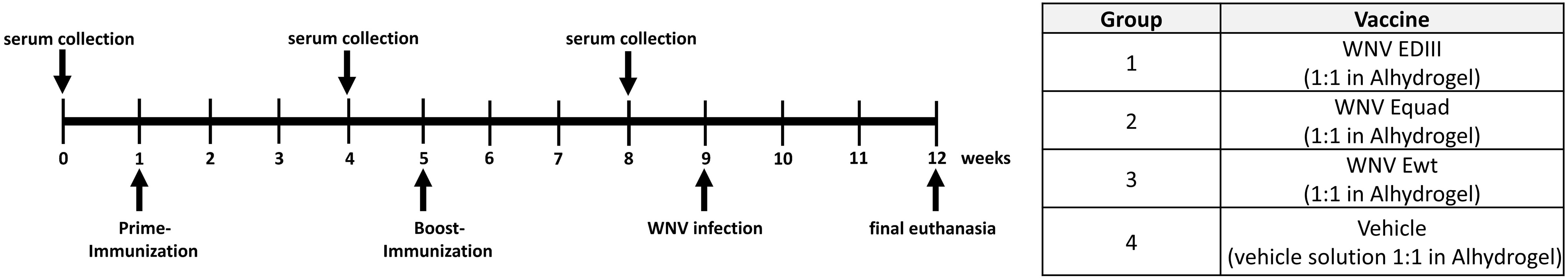 www.frontiersin.org